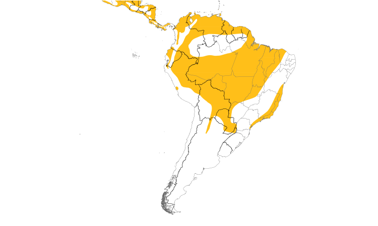 Range Map (South): Hook-billed Kite