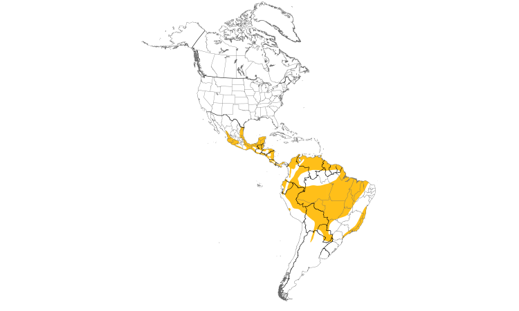 Range Map (Americas): Hook-billed Kite