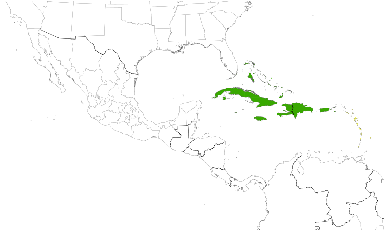 Range Map (Central): Antillean Nighthawk