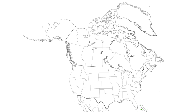 Range Map (North): Antillean Nighthawk