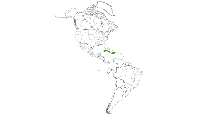 Range Map (Americas): Antillean Nighthawk