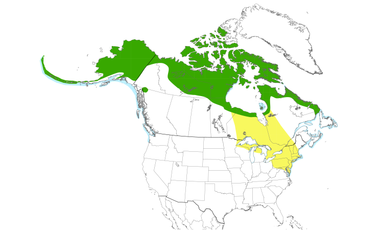 Range Map (North): Long-tailed Duck