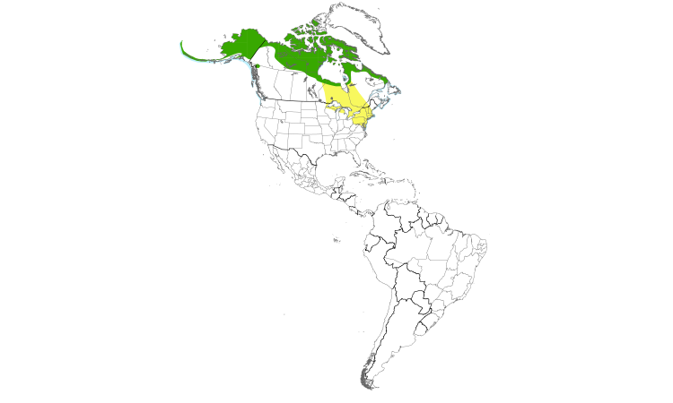 Range Map (Americas): Long-tailed Duck