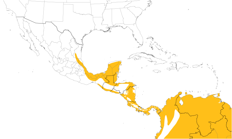 Range Map (Central): Blue Ground-Dove