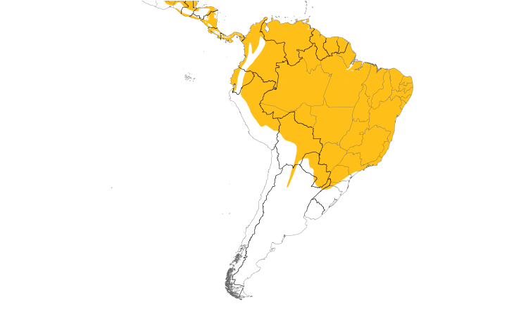 Range Map (South): Blue Ground-Dove