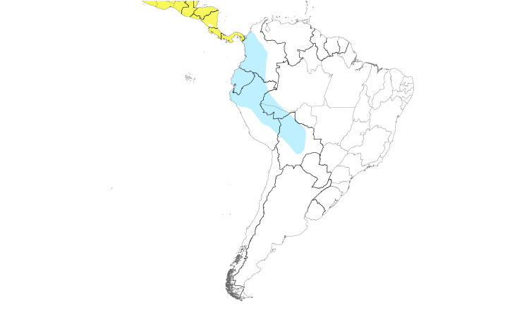 Range Map (South): Black-billed Cuckoo