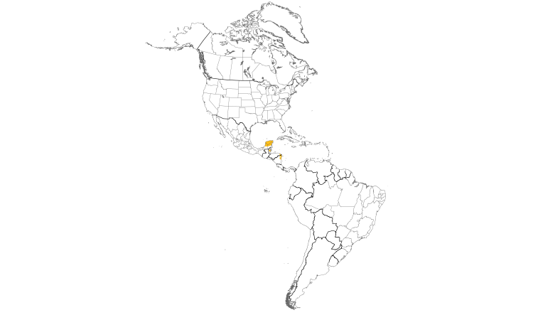 Range Map (Americas): Black-throated Bobwhite