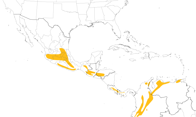 Range Map (Central): Green Violetear