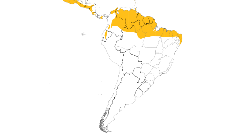 Range Map (South): Common Ground-Dove