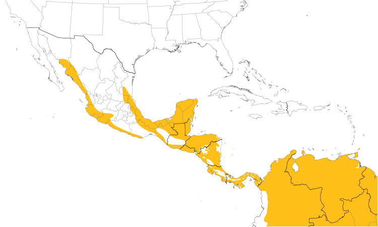 Range Map (Central): Ruddy Ground-Dove