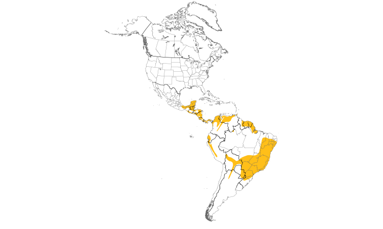 Range Map (Americas): Tropical Pewee