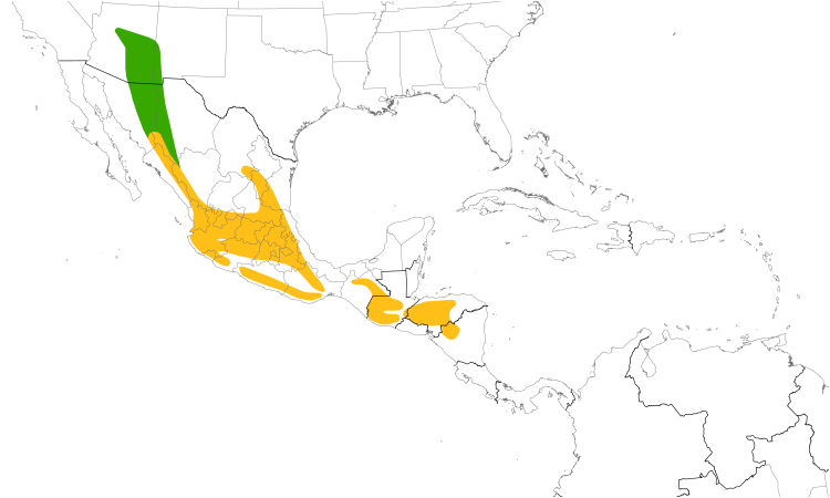 Range Map (Central): Greater Pewee