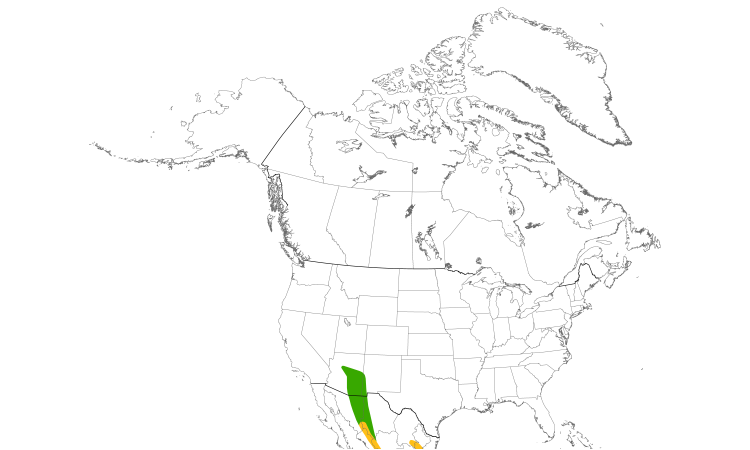 Range Map (North): Greater Pewee