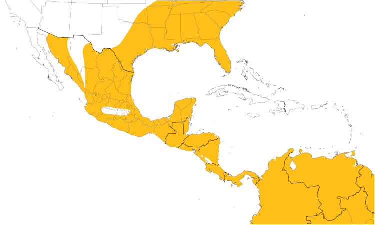 Range Map (Central): Black Vulture