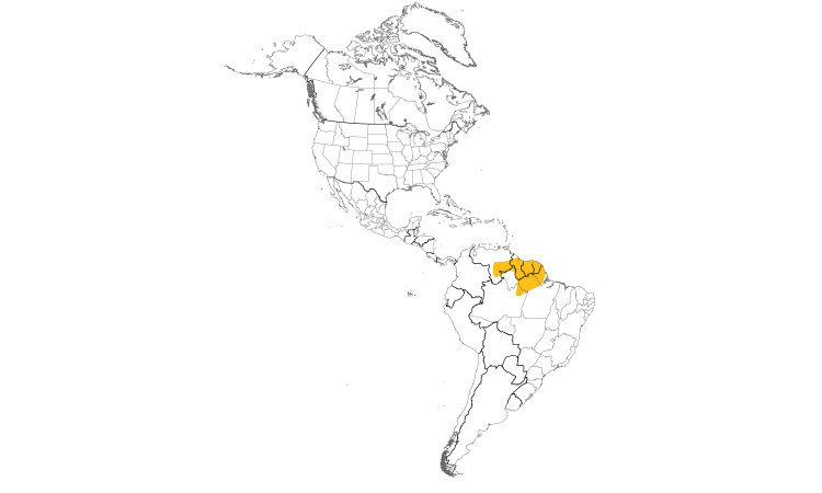 Range Map (Americas): White-throated Manakin