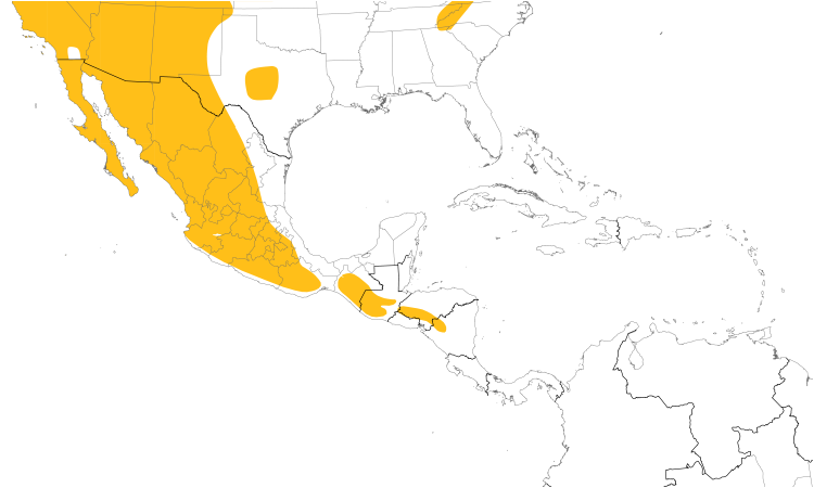 Range Map (Central): Common Raven