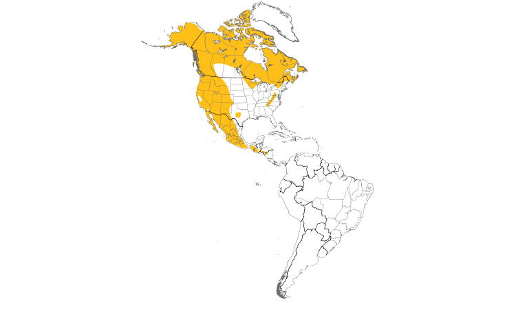 Range Map (Americas): Common Raven