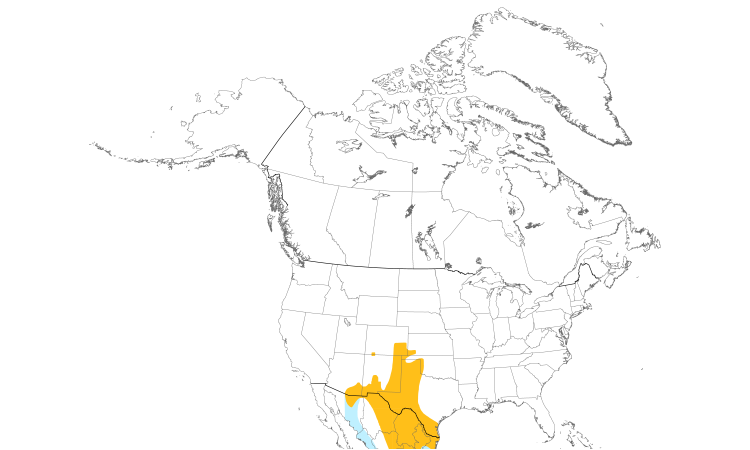 Range Map (North): Chihuahuan Raven