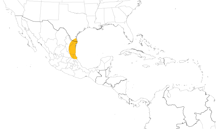 Range Map (Central): Tamaulipas Crow