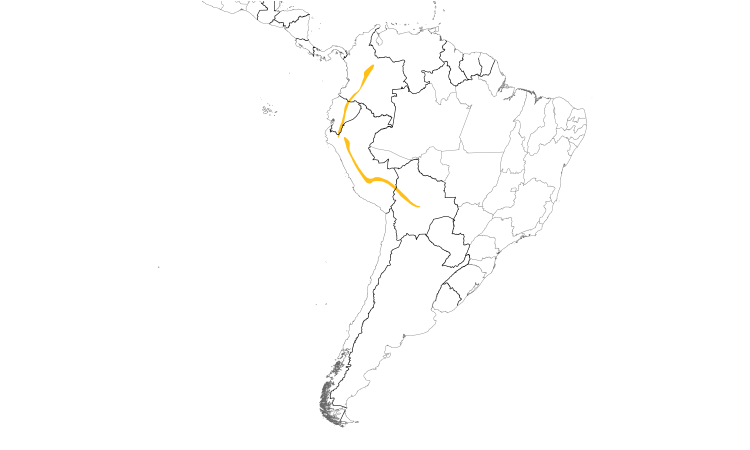 Range Map (South): Ash-browed Spinetail