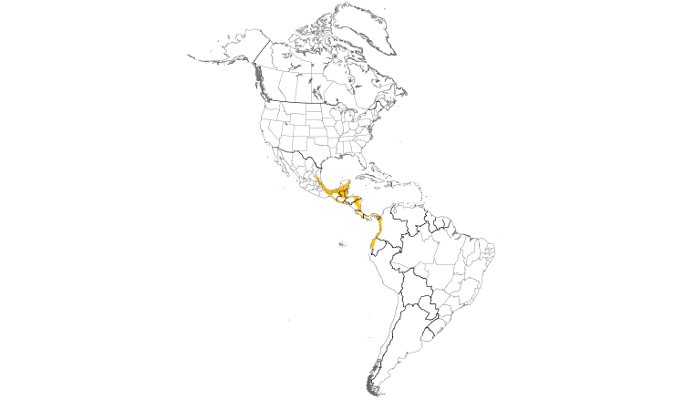 Range Map (Americas): Great Curassow