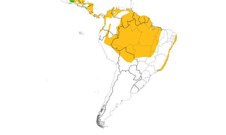 Range Map (South): Red-legged Honeycreeper