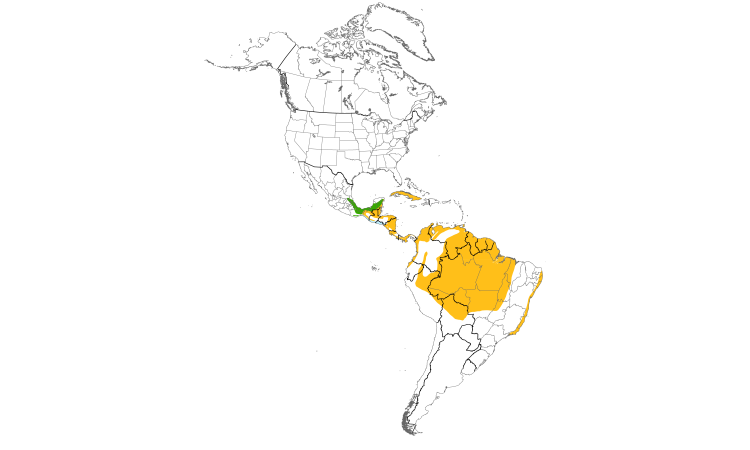 Range Map (Americas): Red-legged Honeycreeper