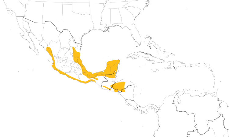 Range Map (Central): Blue Bunting