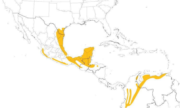 Range Map (Central): Green Jay