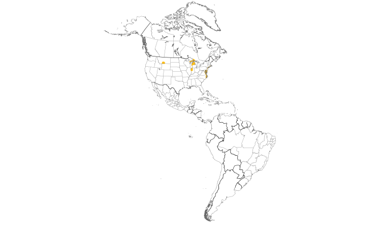 Range Map (Americas): Mute Swan