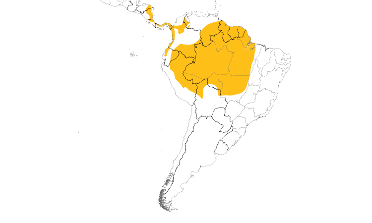 Range Map (South): Fasciated Antshrike