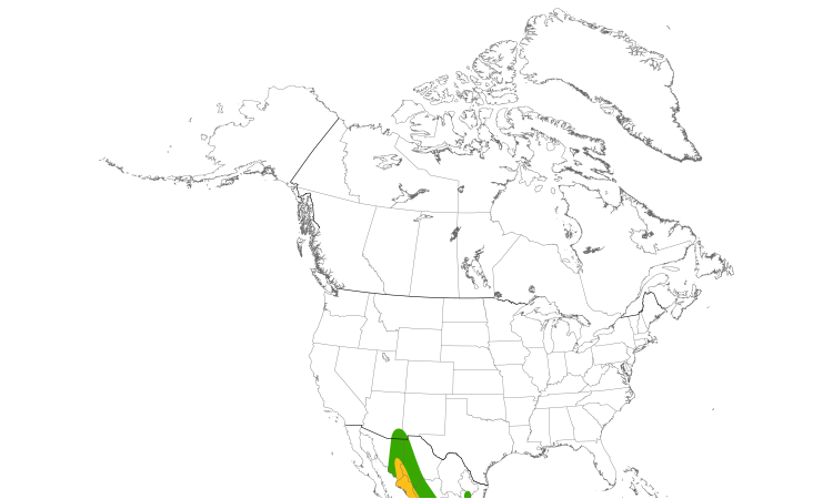 Range Map (North): Broad-billed Hummingbird