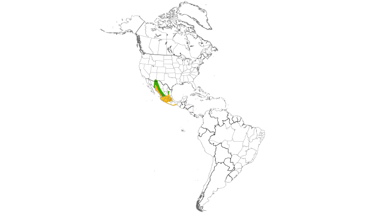 Range Map (Americas): Broad-billed Hummingbird