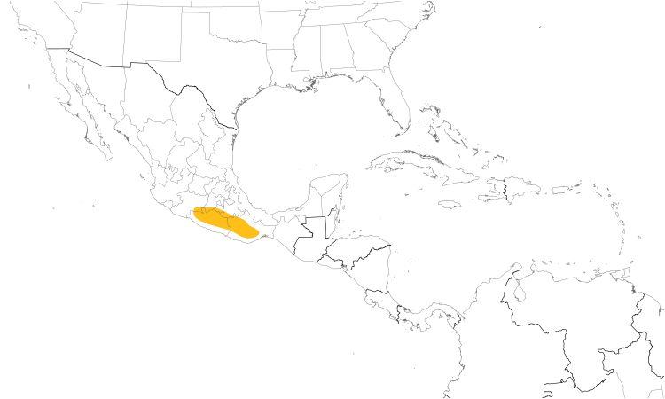 Range Map (Central): Dusky Hummingbird