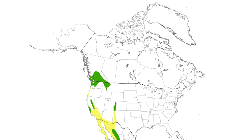 Range Map (North): Black Swift