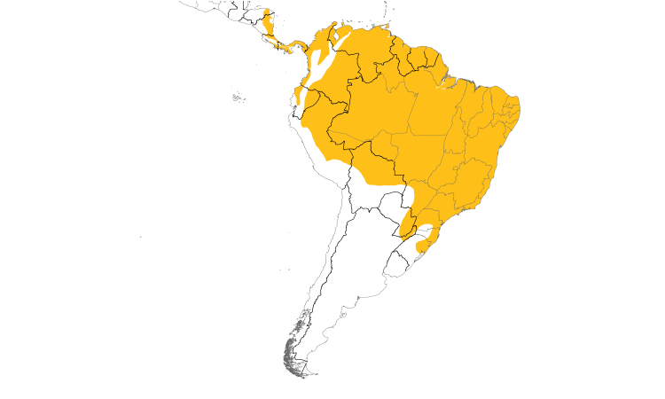 Range Map (South): Blue Dacnis