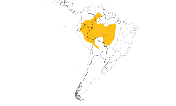 Range Map (South): Yellow-bellied Dacnis