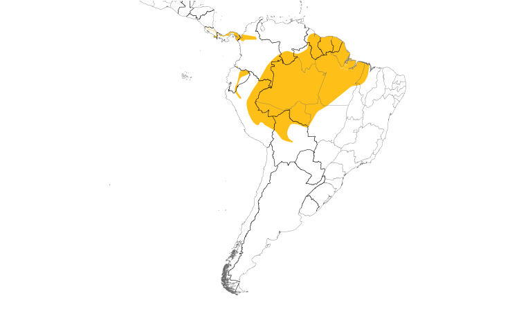 Range Map (South): Long-tailed Woodcreeper