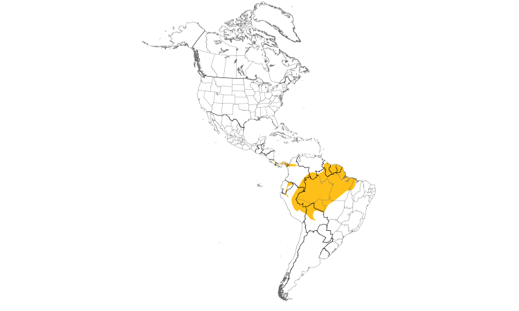 Range Map (Americas): Long-tailed Woodcreeper
