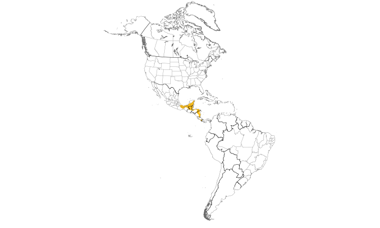 Range Map (Americas): Tawny-winged Woodcreeper
