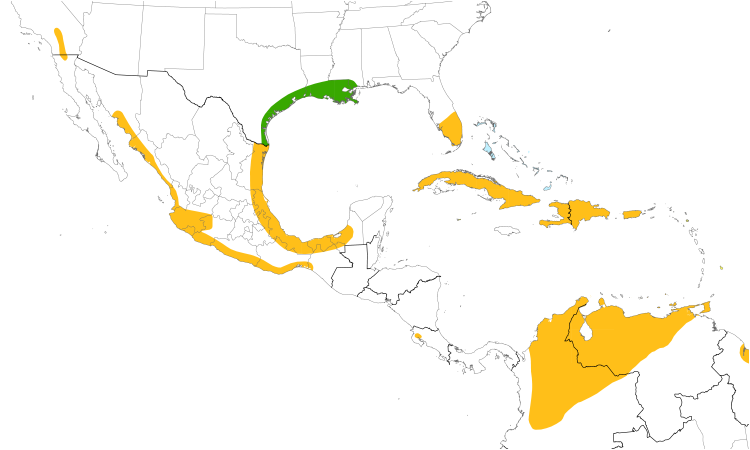 Range Map (Central): Fulvous Whistling-Duck