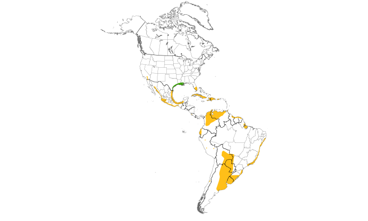 Range Map (Americas): Fulvous Whistling-Duck