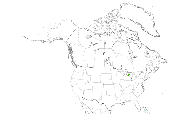 Range Map (North): Kirtland's Warbler