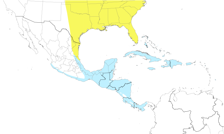 Range Map (Central): Magnolia Warbler