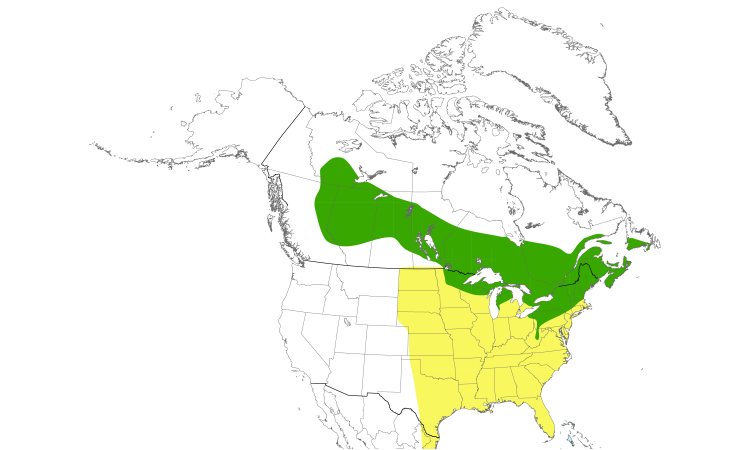 Range Map (North): Magnolia Warbler