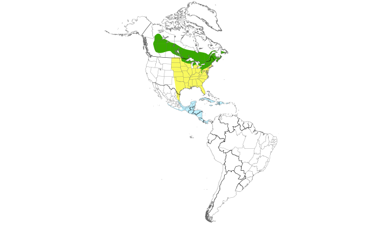 Range Map (Americas): Magnolia Warbler