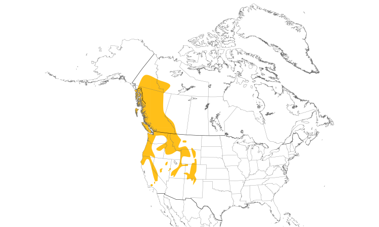 Range Map (North): Dusky Grouse