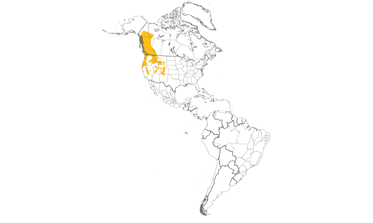 Range Map (Americas): Dusky Grouse