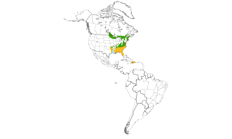 Range Map (Americas): Pine Warbler