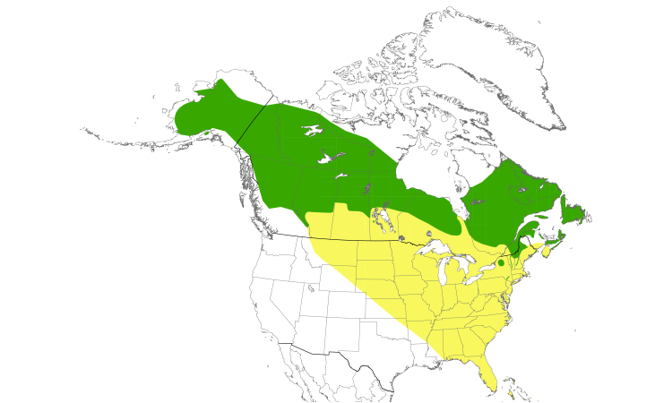 Range Map (North): Blackpoll Warbler